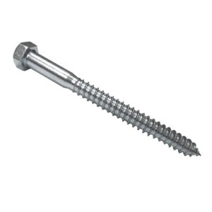 1/4" x 3" stainless lag screw