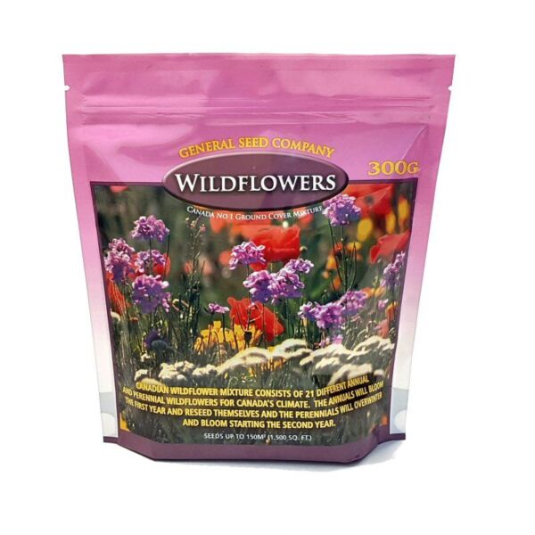 Wildflower Seed mix