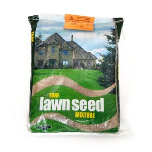 Lawn seed for the shady areas